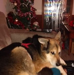 Meet your Posher, Jesse